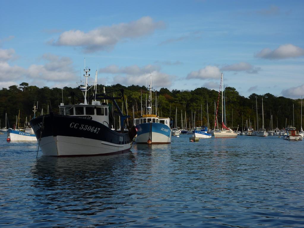 Moëlan-sur-Mer La Belle Relax - Calme Et Tranquillite Assures - 2 Personnes Bed & Breakfast エクステリア 写真