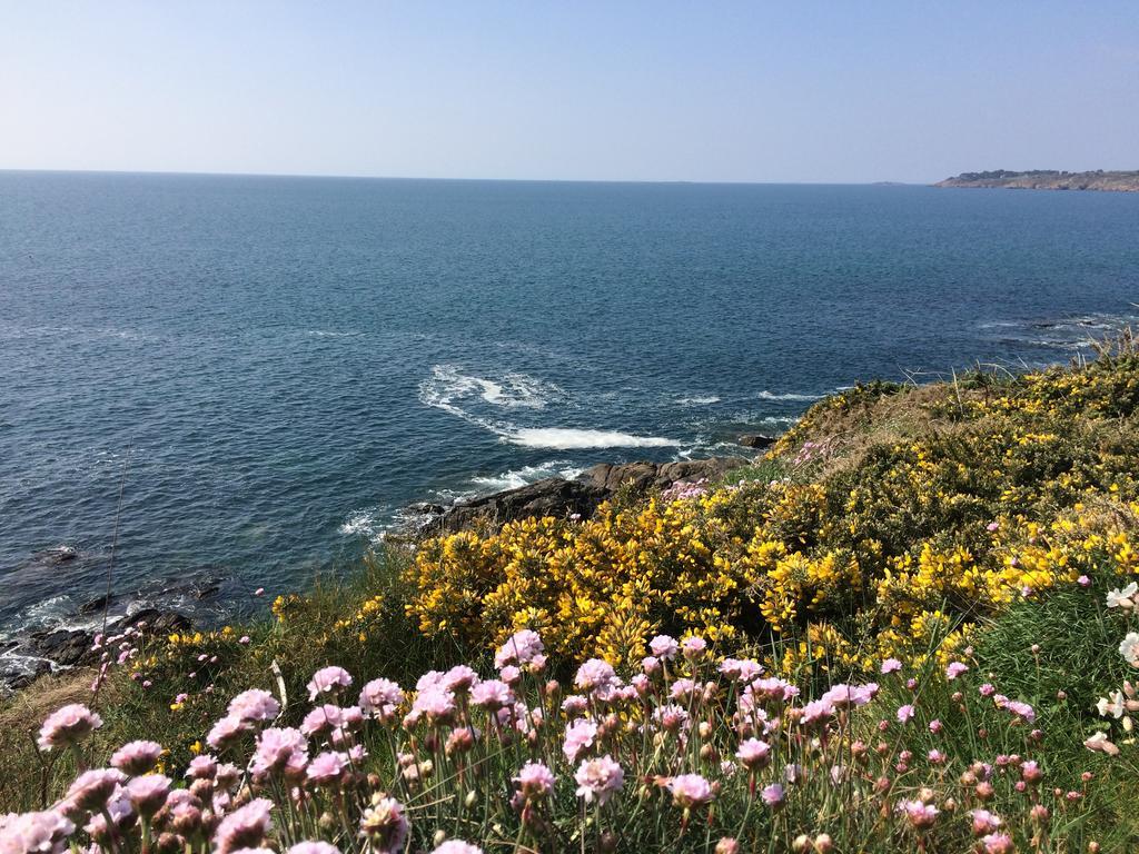 Moëlan-sur-Mer La Belle Relax - Calme Et Tranquillite Assures - 2 Personnes Bed & Breakfast エクステリア 写真