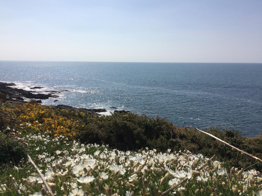 Moëlan-sur-Mer La Belle Relax - Calme Et Tranquillite Assures - 2 Personnes Bed & Breakfast エクステリア 写真
