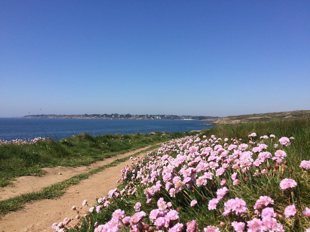 Moëlan-sur-Mer La Belle Relax - Calme Et Tranquillite Assures - 2 Personnes Bed & Breakfast エクステリア 写真